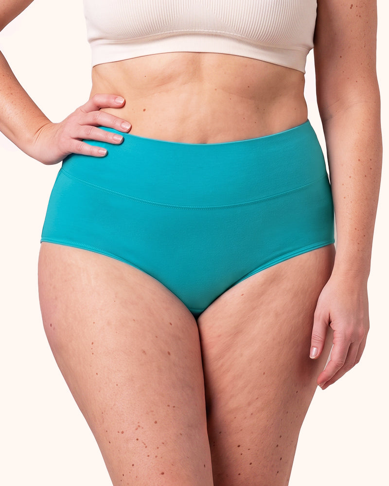 Bragas de algodón de talle alto talla grande para mujer, paquete de 4